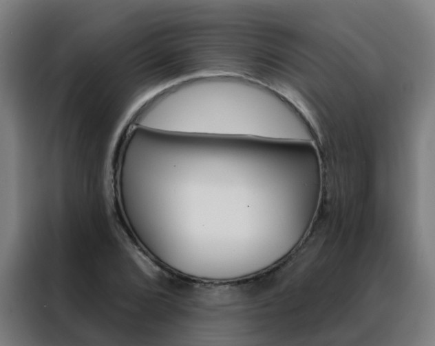 X0000088491072200705221017