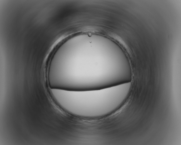 X0000088491075200705221017