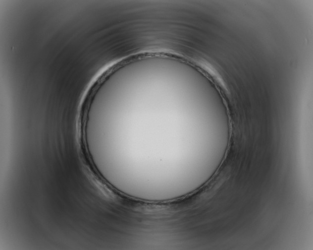 X0000088491076200705221017