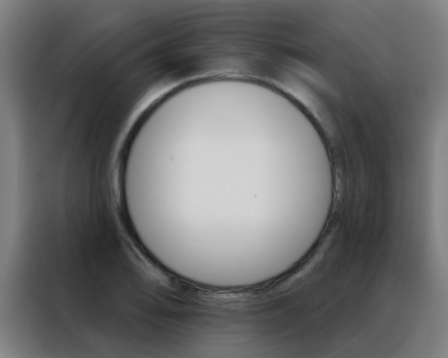X0000088491078200705221017
