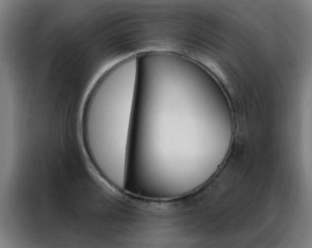 X0000088491080200705221017