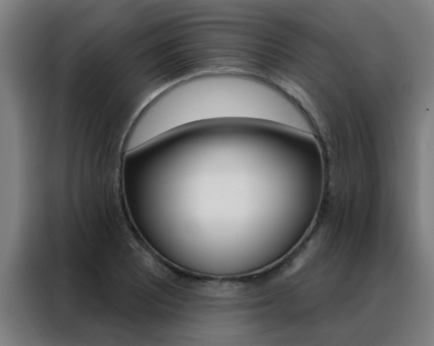 X0000088491081200705221017