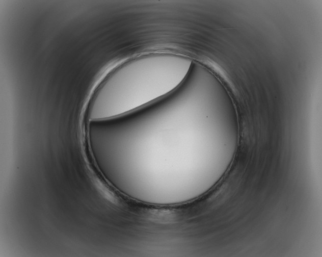 X0000088491082200705221017