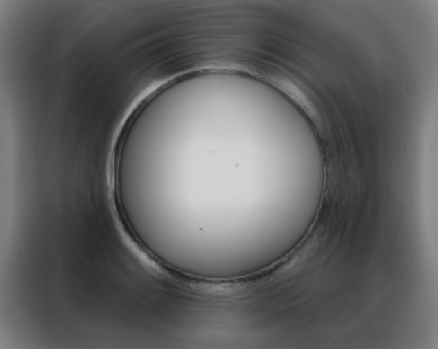 X0000088491084200705221017