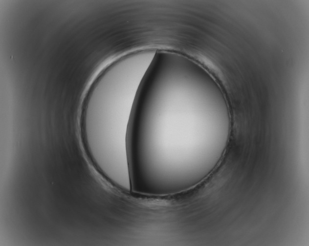 X0000088491085200705221017