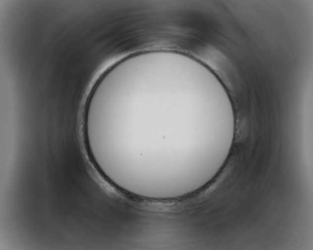 X0000088491086200705221017