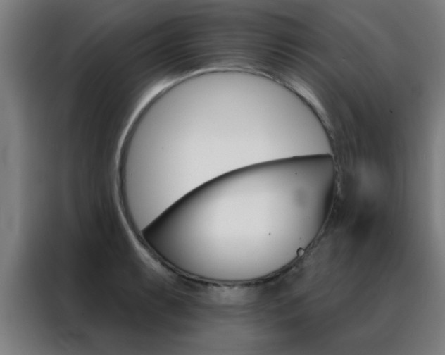X0000088491087200705221017