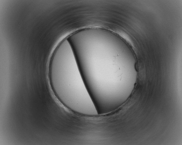 X0000088491088200705221017
