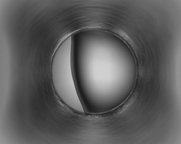 X0000088491089200705221017