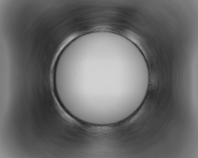 X0000088491090200705221017