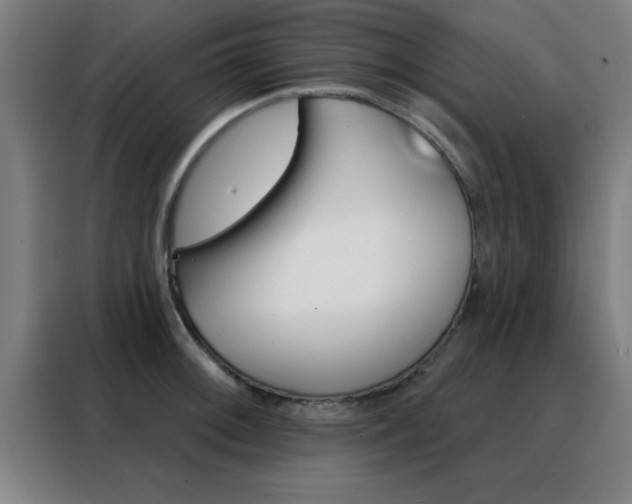 X0000088491092200705221017
