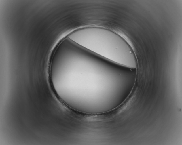 X0000088491093200705221017