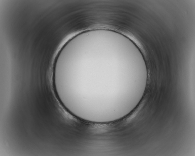 X0000088491094200705221017