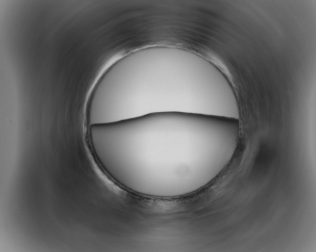X0000088491095200705221017