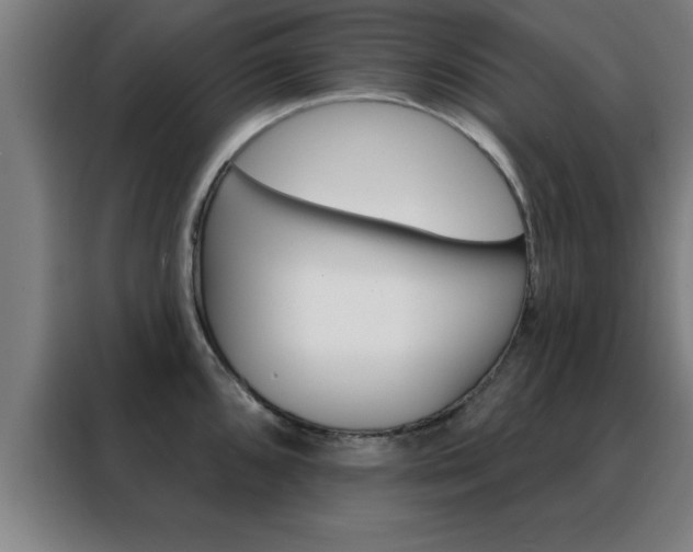 X0000088491096200705221017