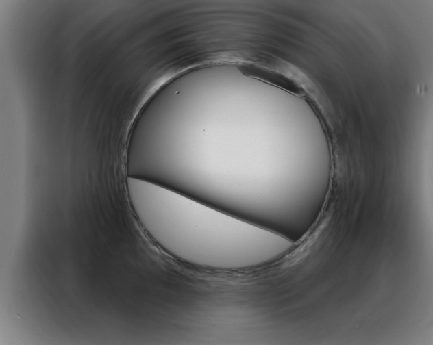 X0000088491097200705221017