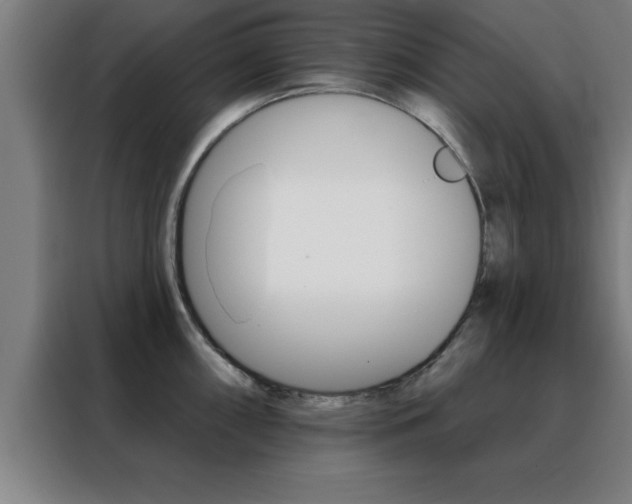 X0000088491098200705221017