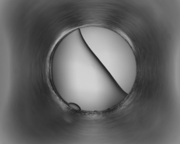 X0000088491099200705221017