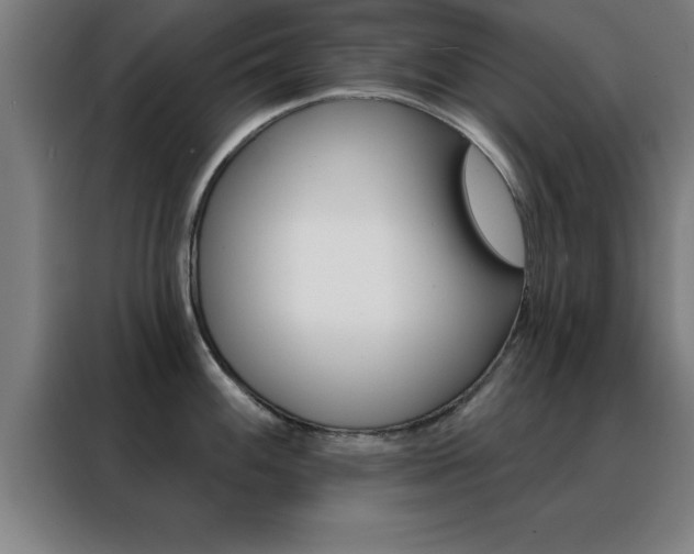 X0000088491100200705221017