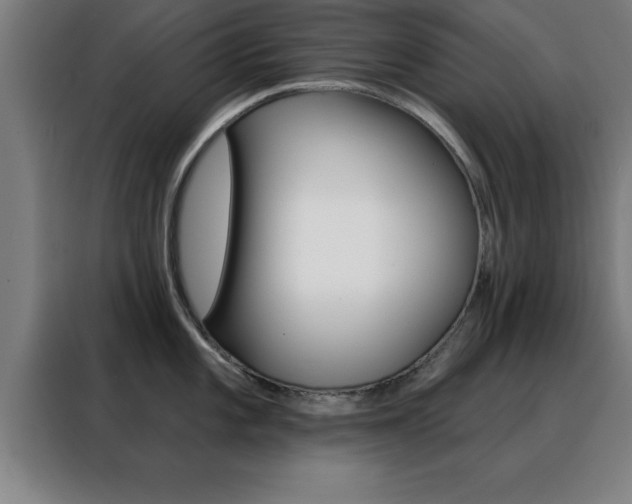 X0000088491101200705221017