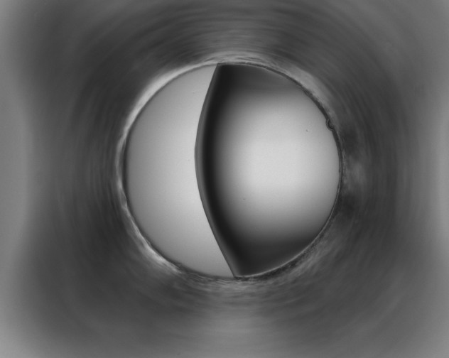 X0000088491102200705221017