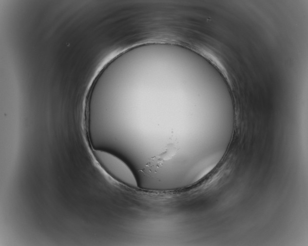 X0000088491103200705221017