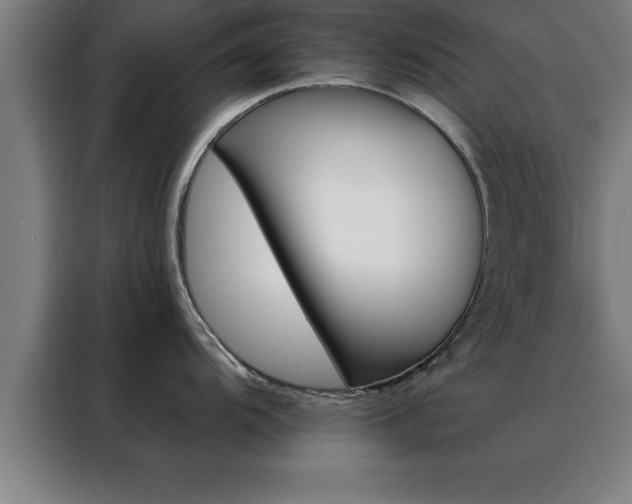 X0000088491104200705221017