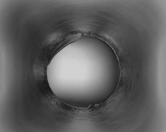 X0000088491110200705221016