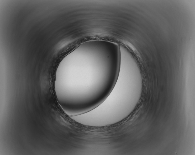 X0000088491112200705221016