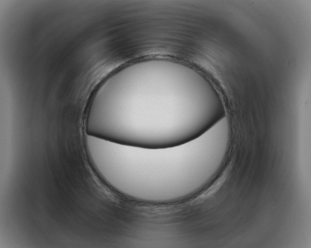X0000088491121200705221016