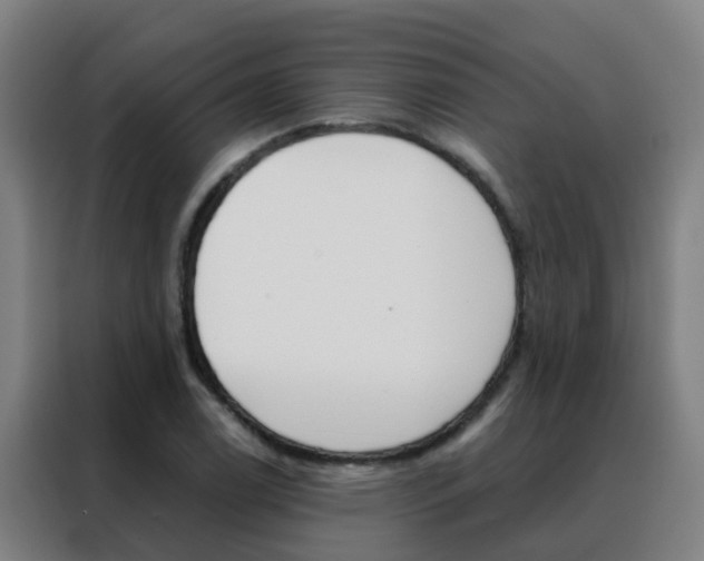 X0000088491122200705221016