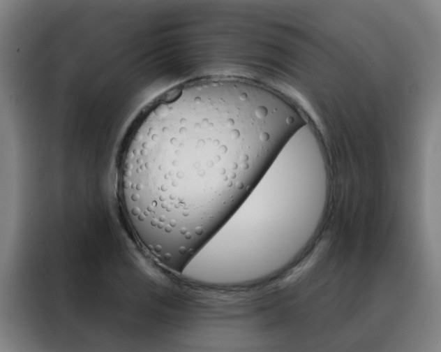 X0000088491125200705221016