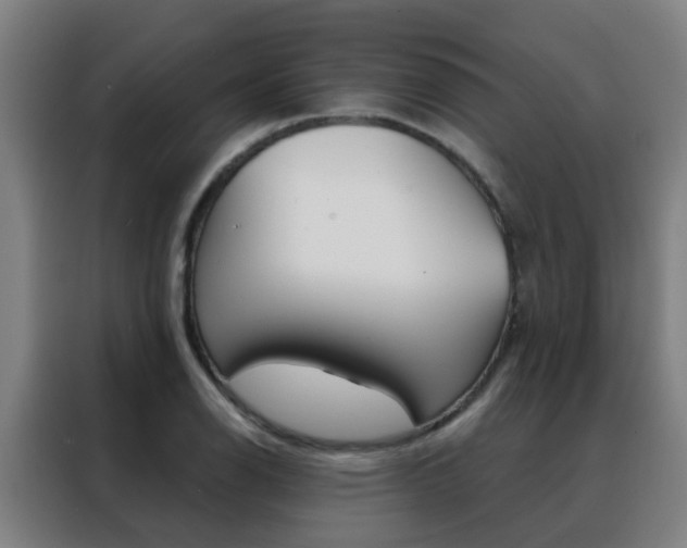 X0000088491126200705221016