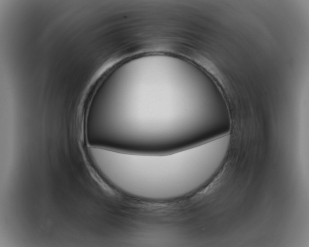 X0000088491127200705221016