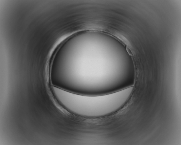 X0000088491128200705221016