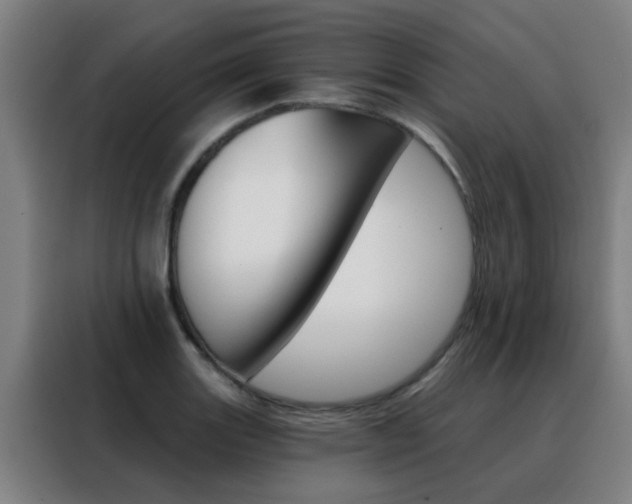 X0000088491131200705221016