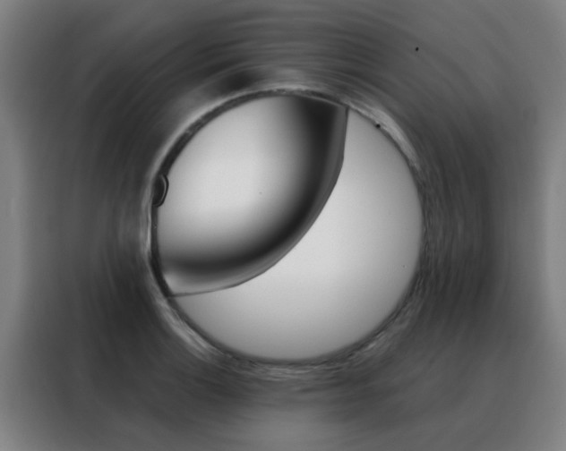 X0000088491132200705221016