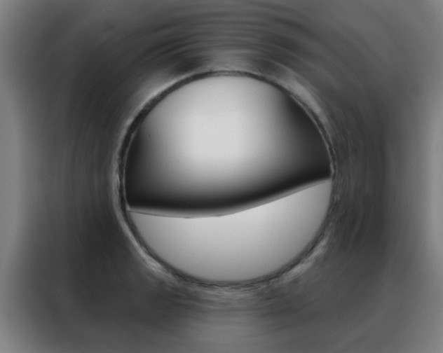 X0000088491133200705221016