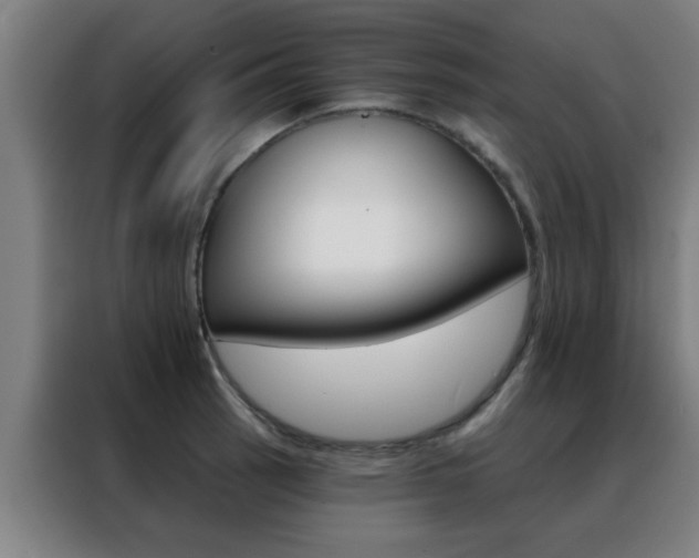 X0000088491137200705221016