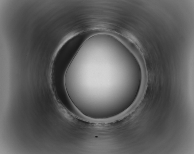 X0000088491138200705221016