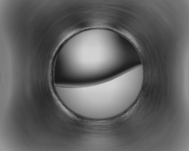 X0000088491142200705221016