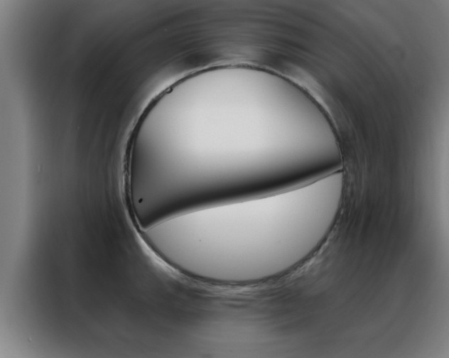 X0000088491143200705221017