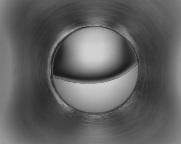 X0000088491144200705221017