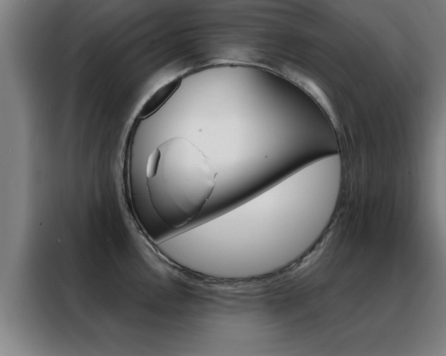 X0000088491146200705221017