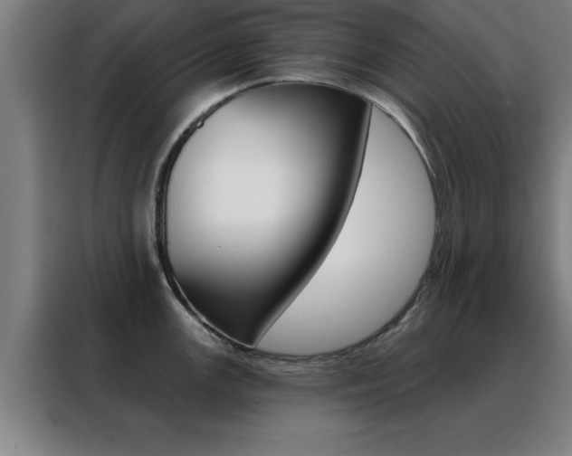 X0000088491147200705221017