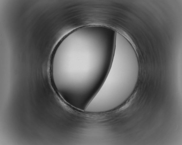 X0000088491149200705221017