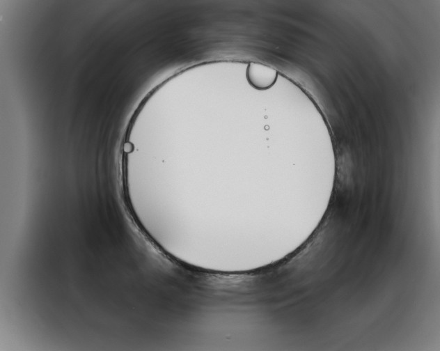 X0000088491150200705221017
