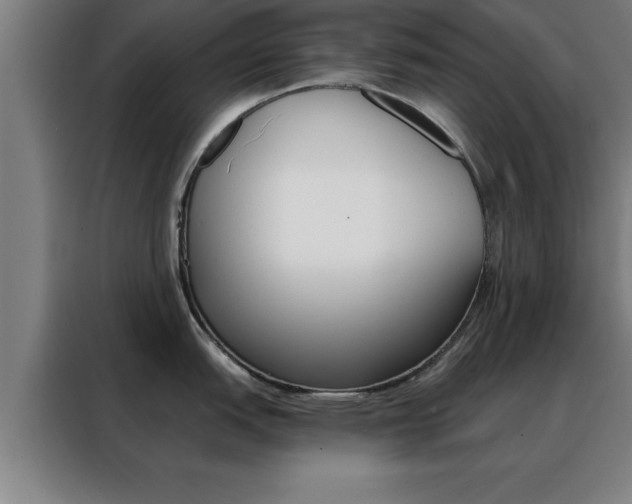 X0000088491151200705221017