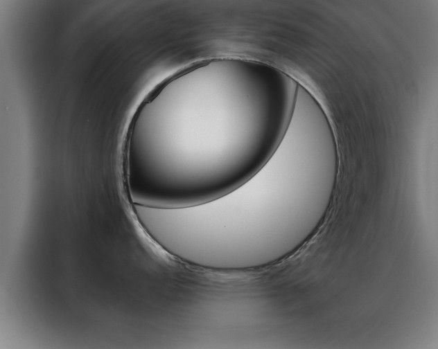 X0000088491152200705221017