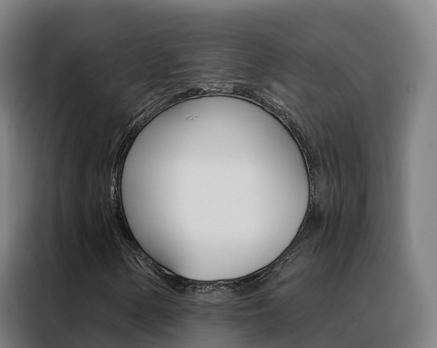X0000088491154200705221016
